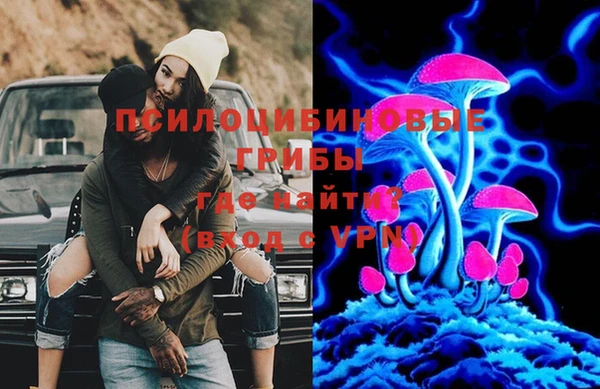 скорость Новозыбков