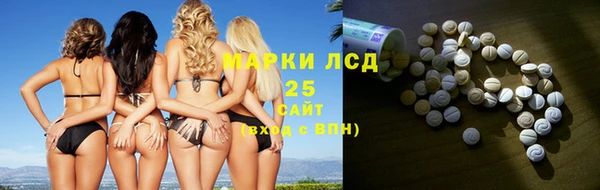 тгк Новодвинск