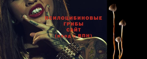 ECSTASY Армянск