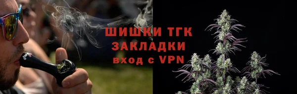 ECSTASY Армянск