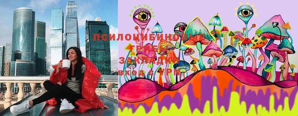 гашик Новокубанск