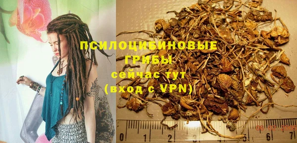спиды Арсеньев