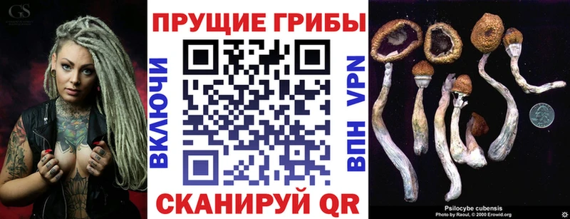Псилоцибиновые грибы мицелий  купить  сайты  Хилок 